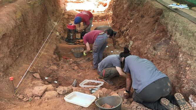 EXHUMACIÓN Y ESTUDIO ANTROPOLOGICO DE LA FOSA COMUN EN EL CEMENTERIO MUNICIPAL DE NERVA, HUELVA